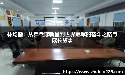 必博BIBO网址
