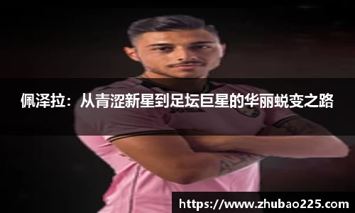必博BIBOAPP