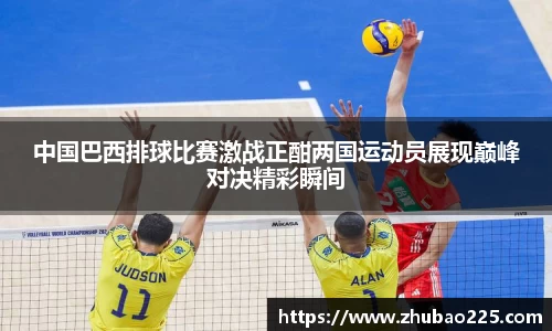 必博BIBO官网