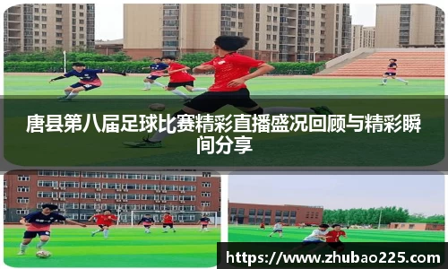 必博BIBO网址