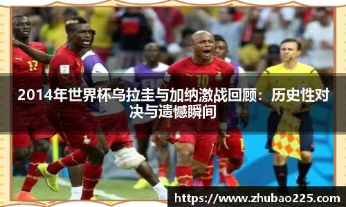必博BIBO官网